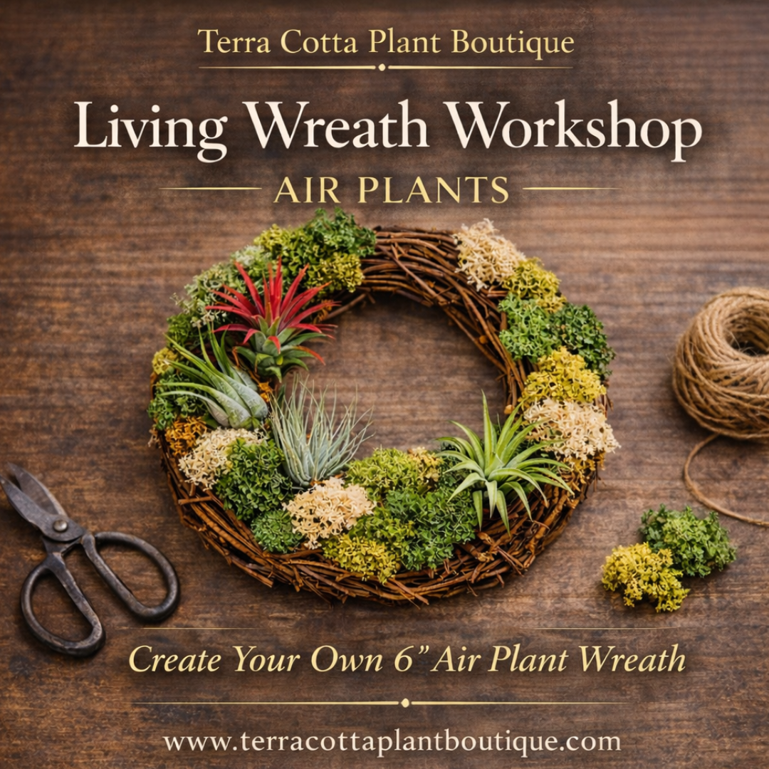 Living Wreath Workshops for 2026