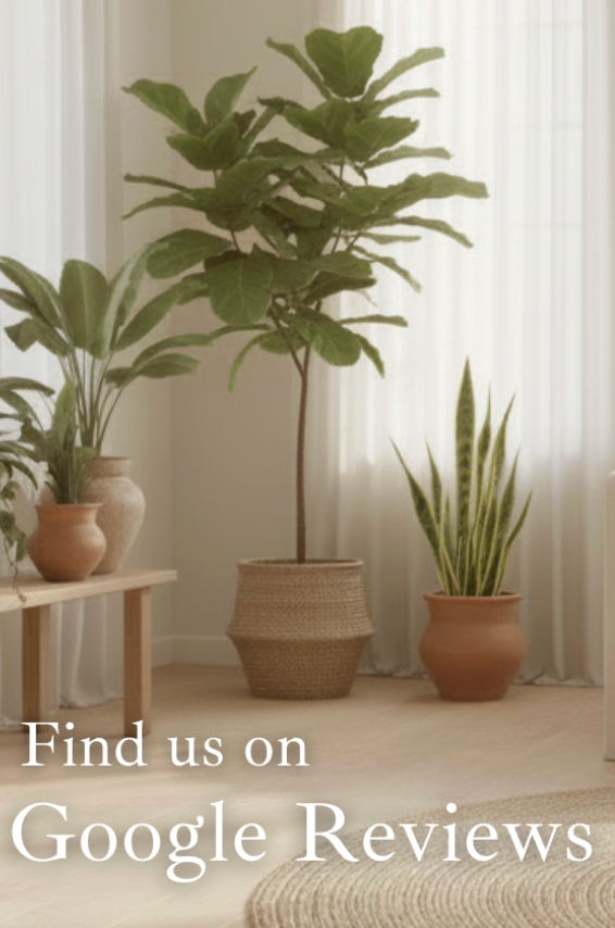 Why We Moved to Google Reviews and Why It Matters for Our Customers