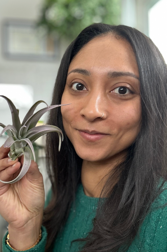 I’m a Plant Boutique, So Where Are the Plants? Why I'm Doing Things Differently