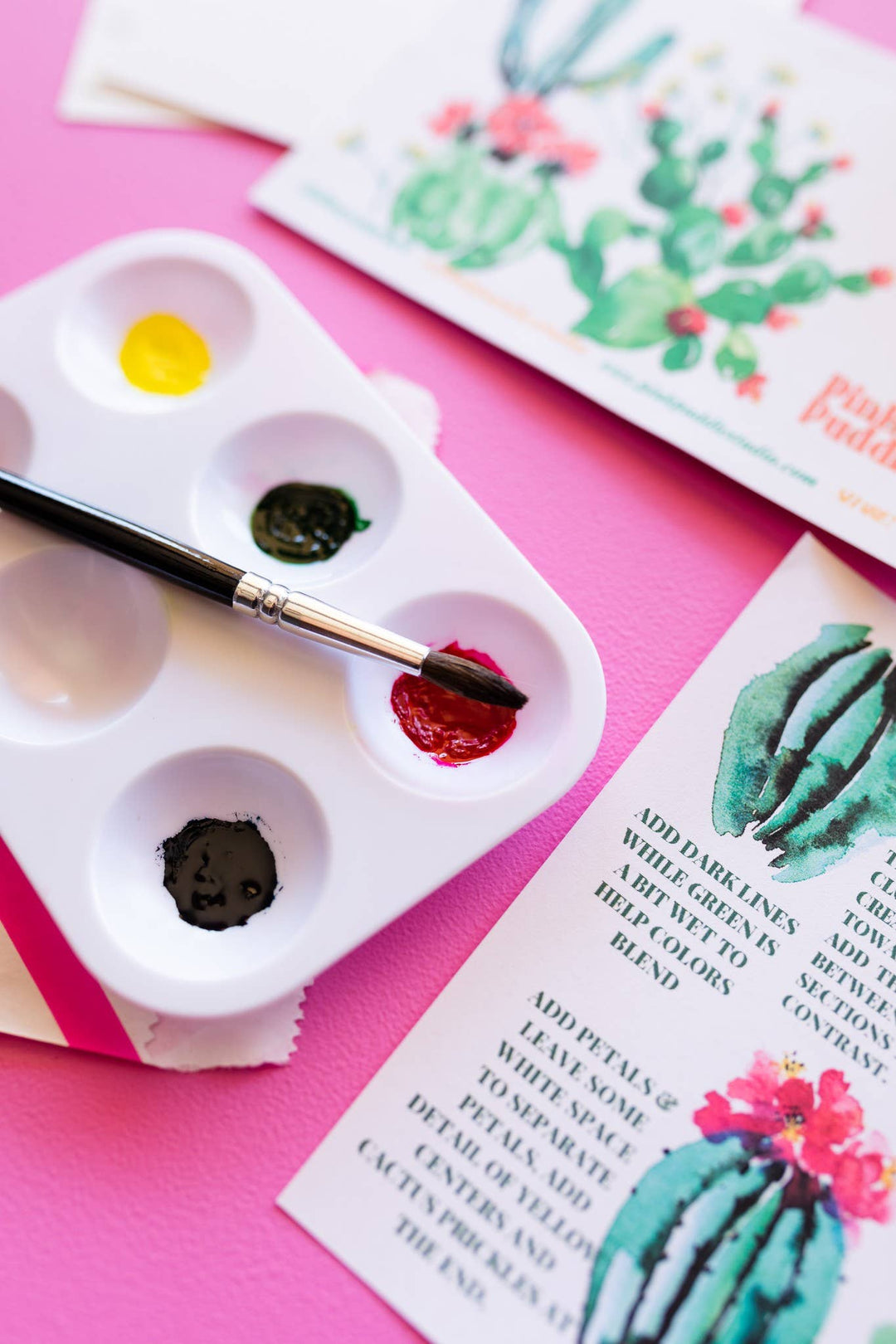 Cactus Garden Watercolor Kit