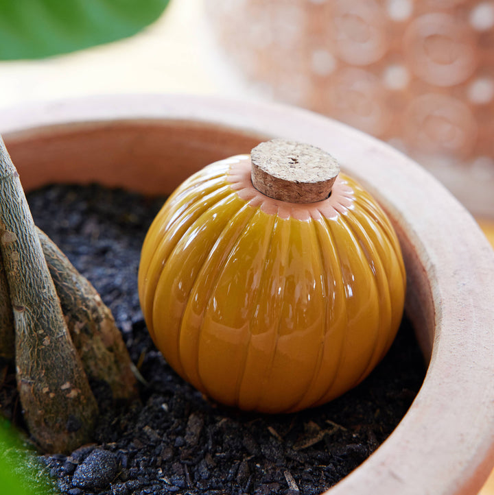 Modern Sprout Watering Bulbs