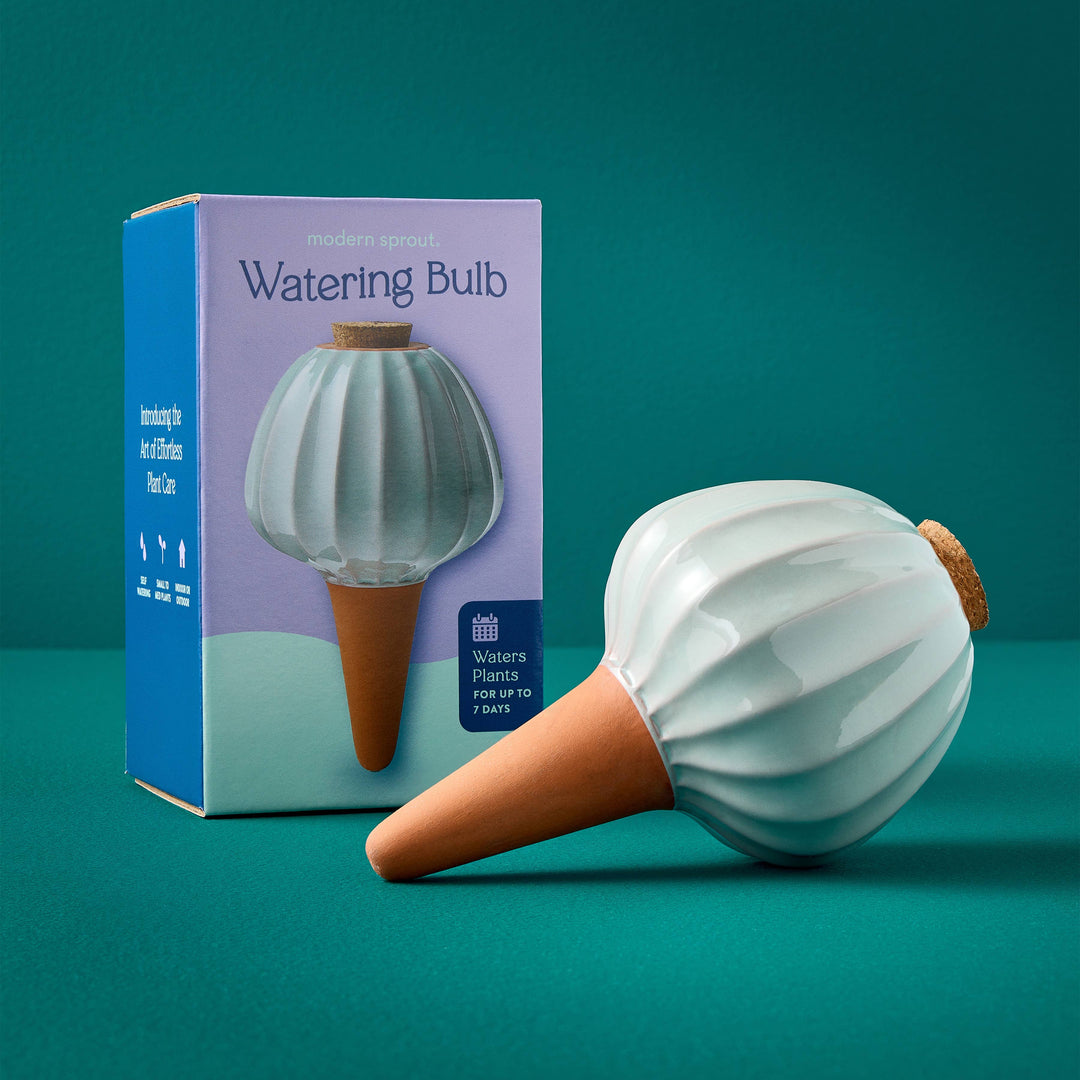 Modern Sprout Watering Bulbs