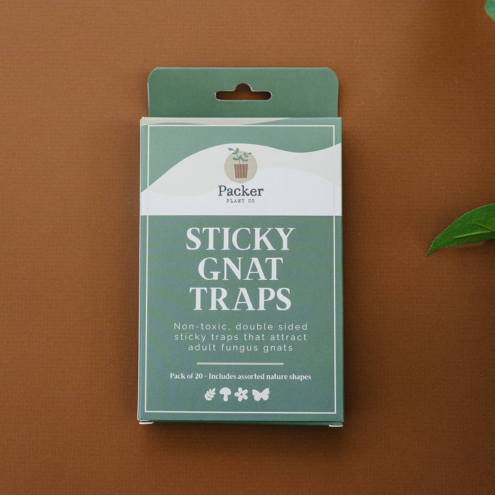 Sticky Gnat Traps