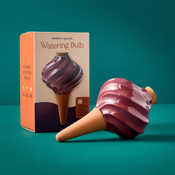 Modern Sprout Watering Bulbs
