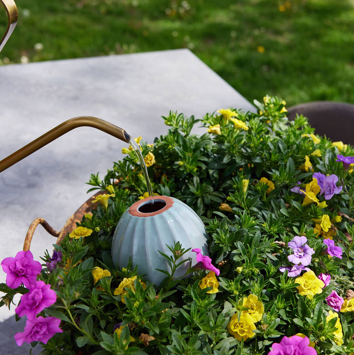 Modern Sprout Watering Bulbs