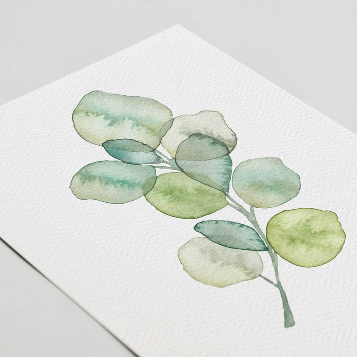 Peaceful Greenery Greeting Card Set