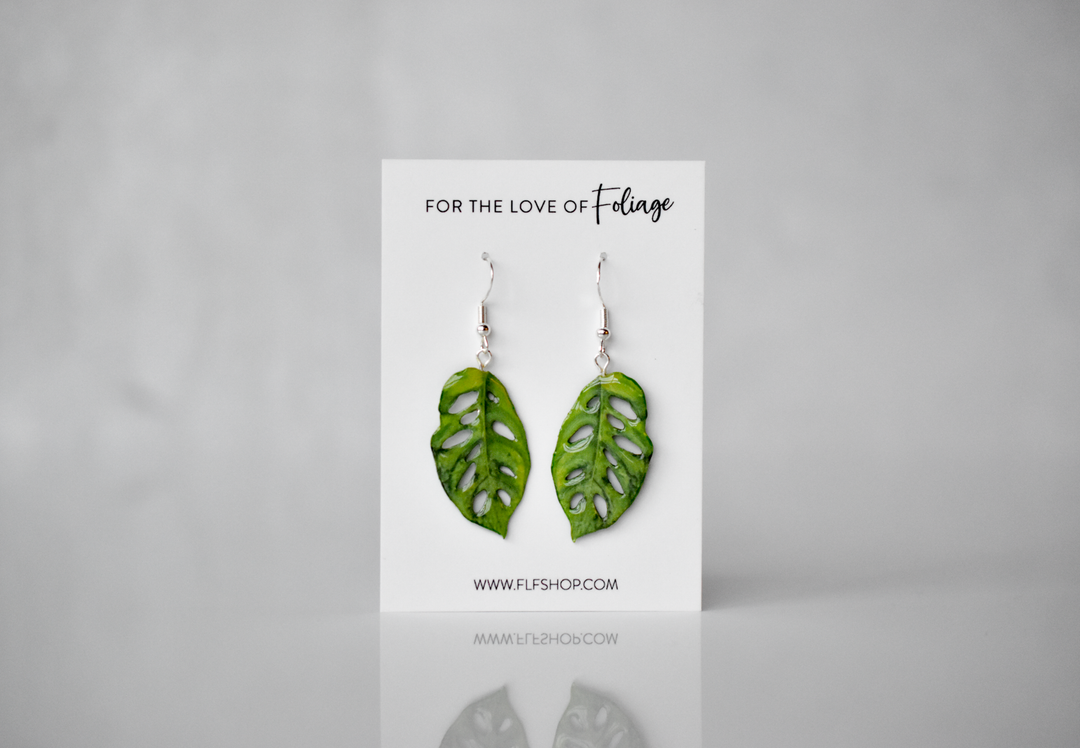 Monstera Adansonii “Swiss Cheese” Plant Earrings