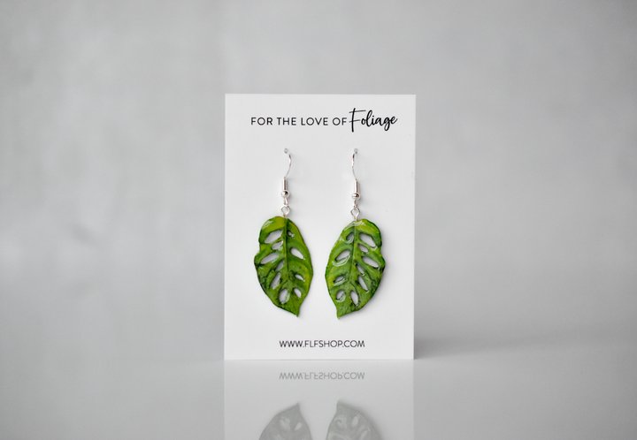 Monstera Adansonii “Swiss Cheese” Plant Earrings