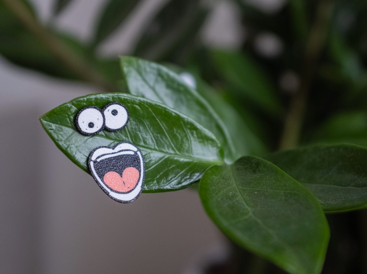 Magnet Plant Face Charms