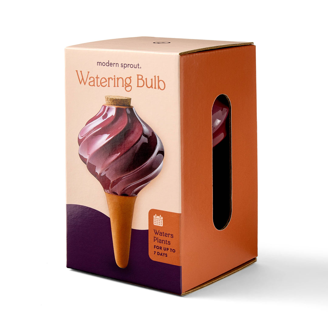 Modern Sprout Watering Bulbs