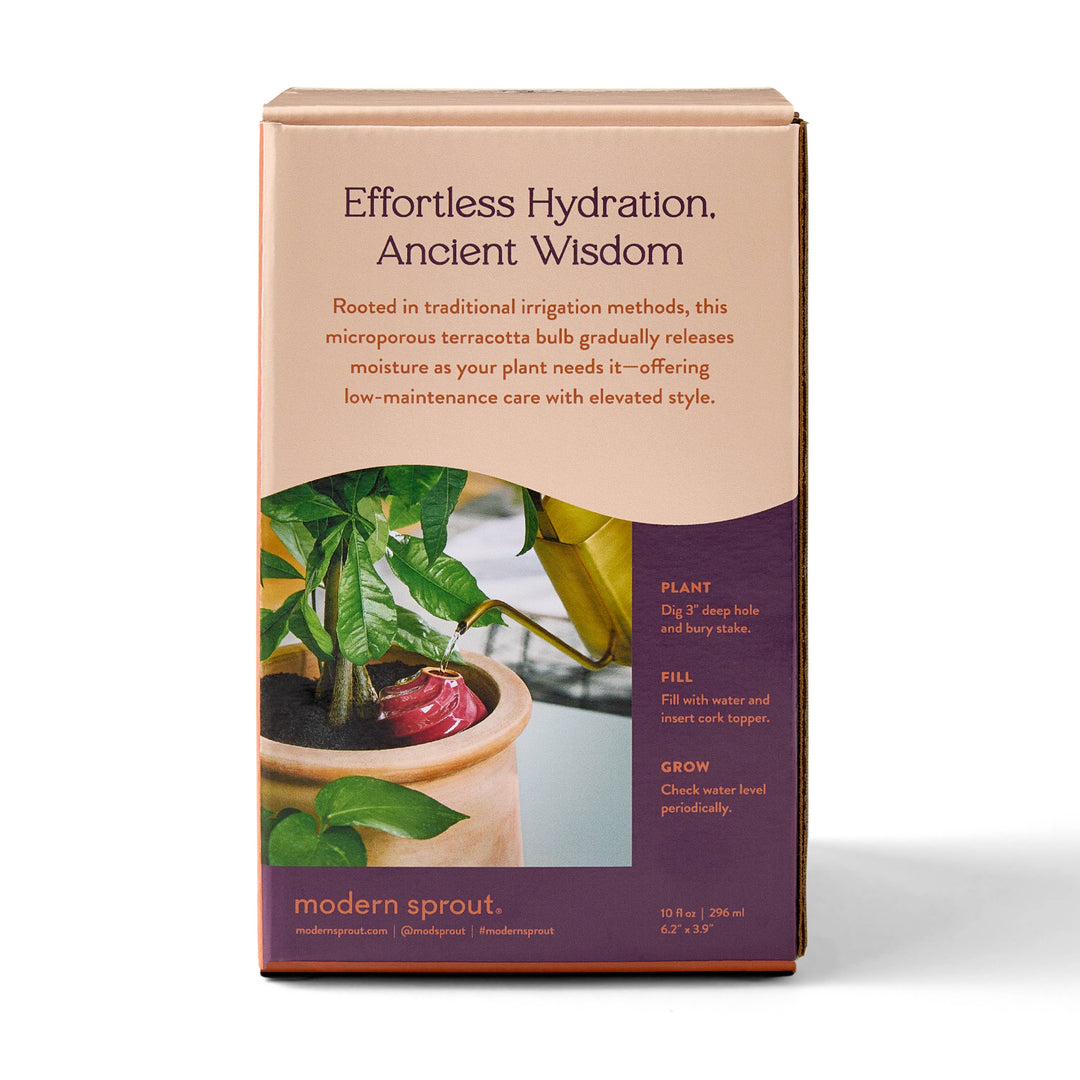Modern Sprout Watering Bulbs