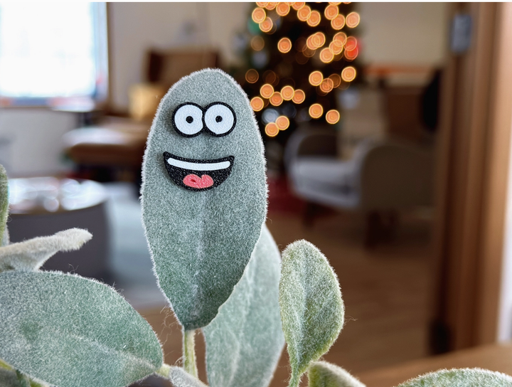 Magnet Plant Face Charms