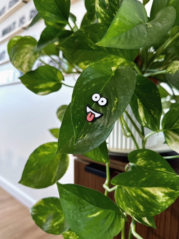 Magnet Plant Face Charms
