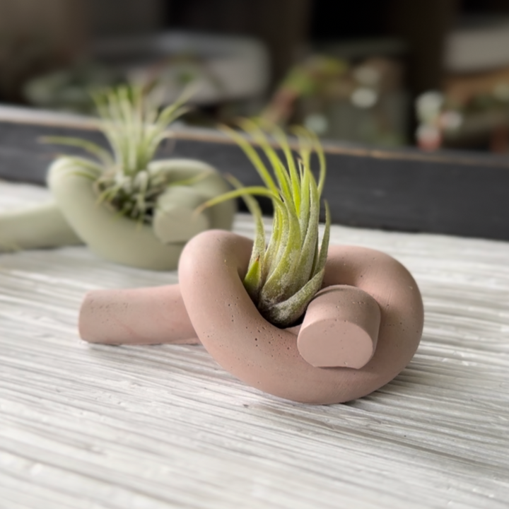 These are hand poured and hand mixed oxide colored cement air planters. Due to their handmade nature each one is unique. These lovely knots are an air planter hit! Explore the best and coolest gift ideas for plant enthusiasts!