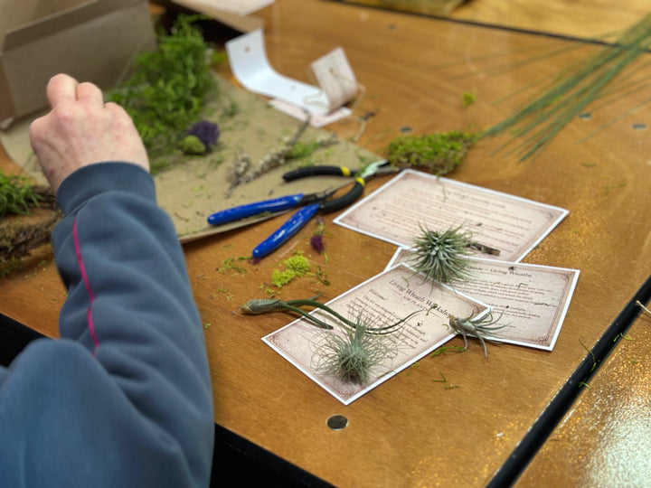 DIY Air Plant Wreath Kit
