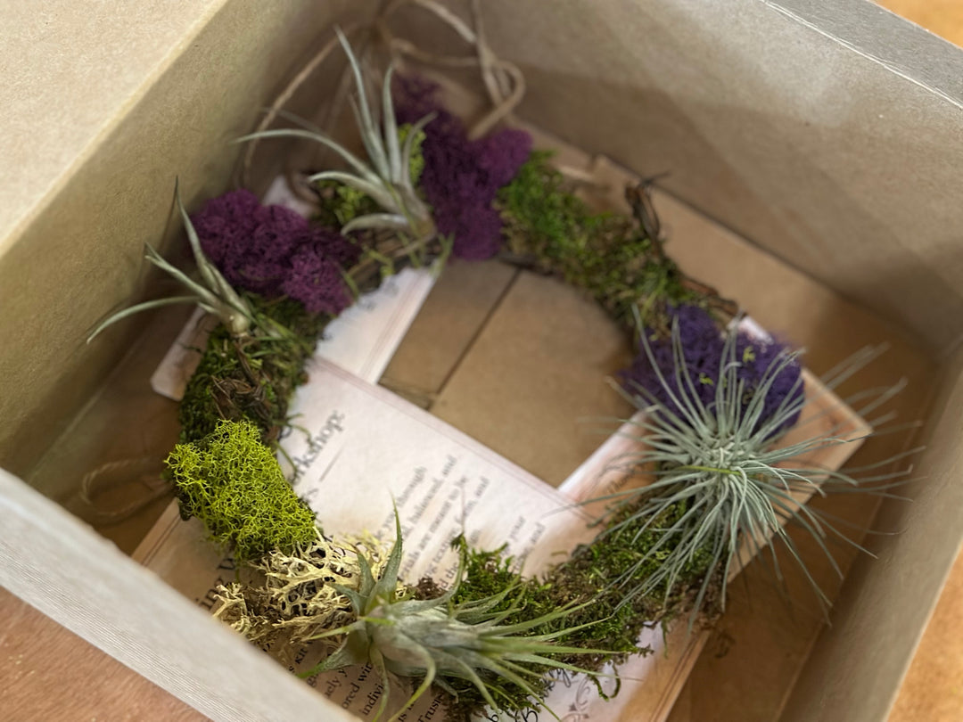 DIY Air Plant Wreath Kit