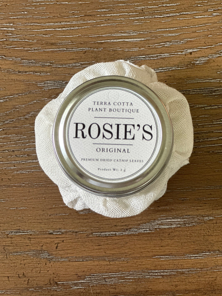 Rosie's Catnip