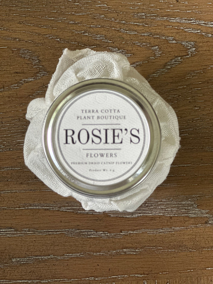 Rosie's Catnip