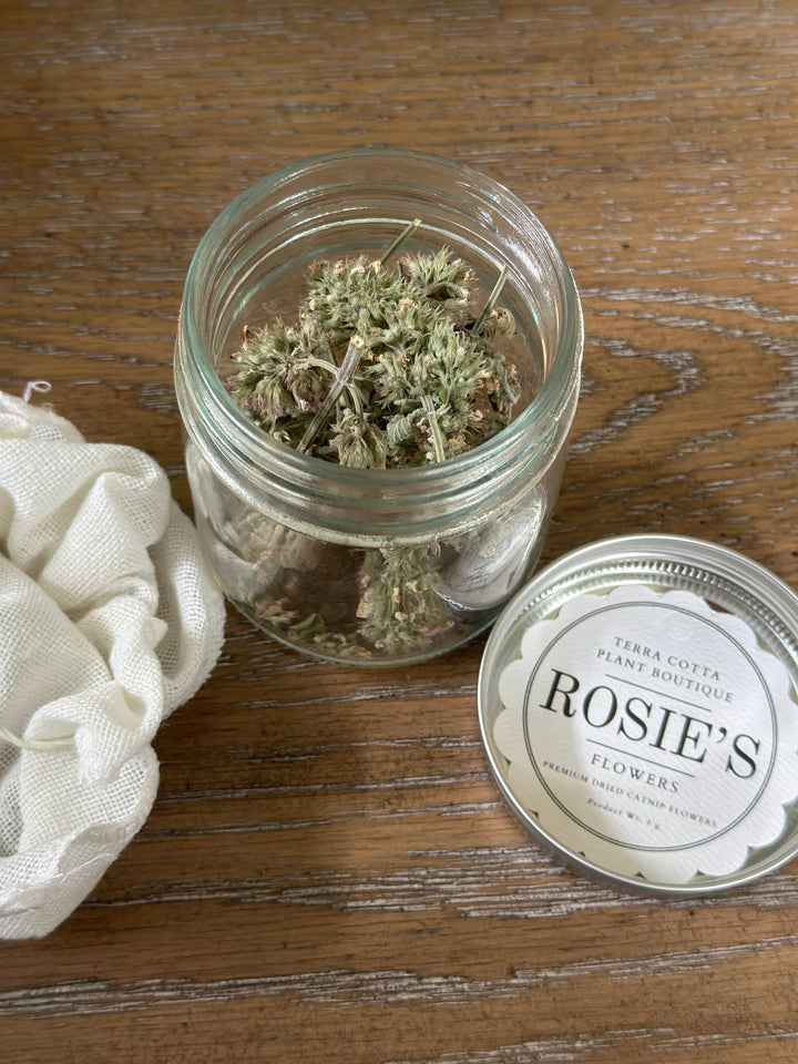 Rosie's Catnip
