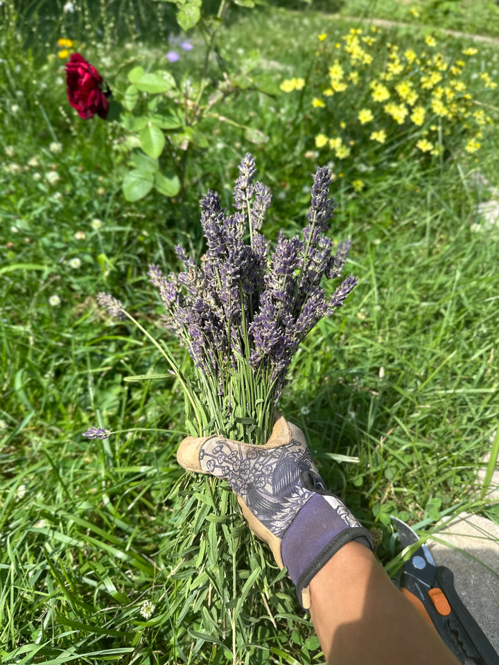 Lavender sachets