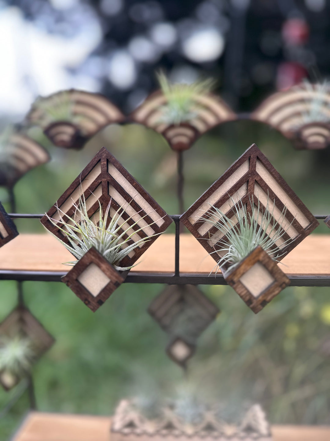Magnetic Air Plant Holders