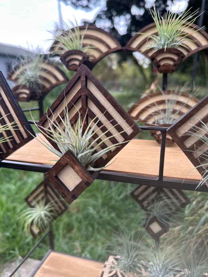 Magnetic Air Plant Holders