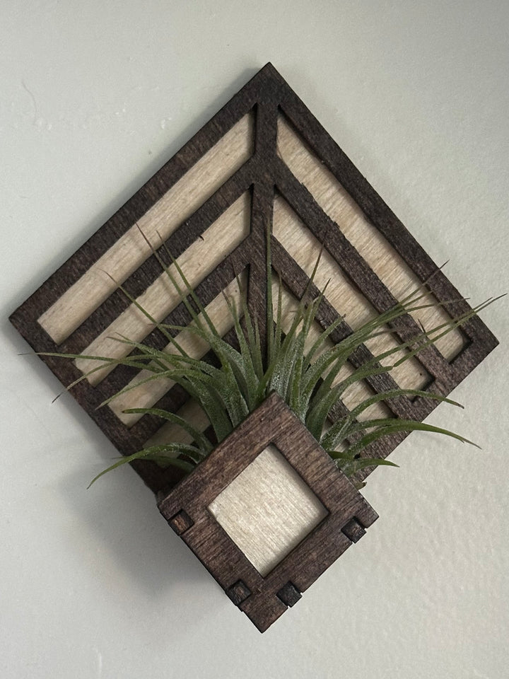 Magnetic Air Plant Holders