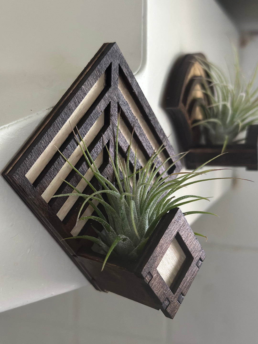 Magnetic Air Plant Holders