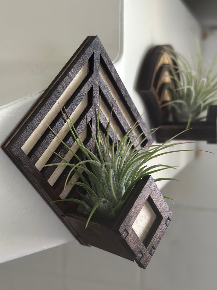 Magnetic Air Plant Holders