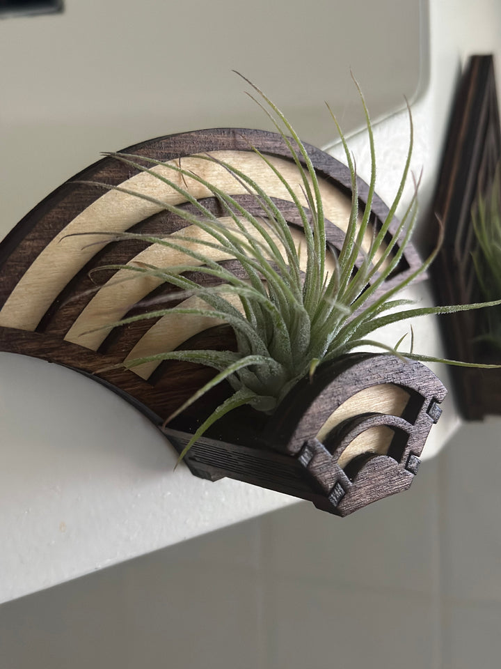 Magnetic Air Plant Holders