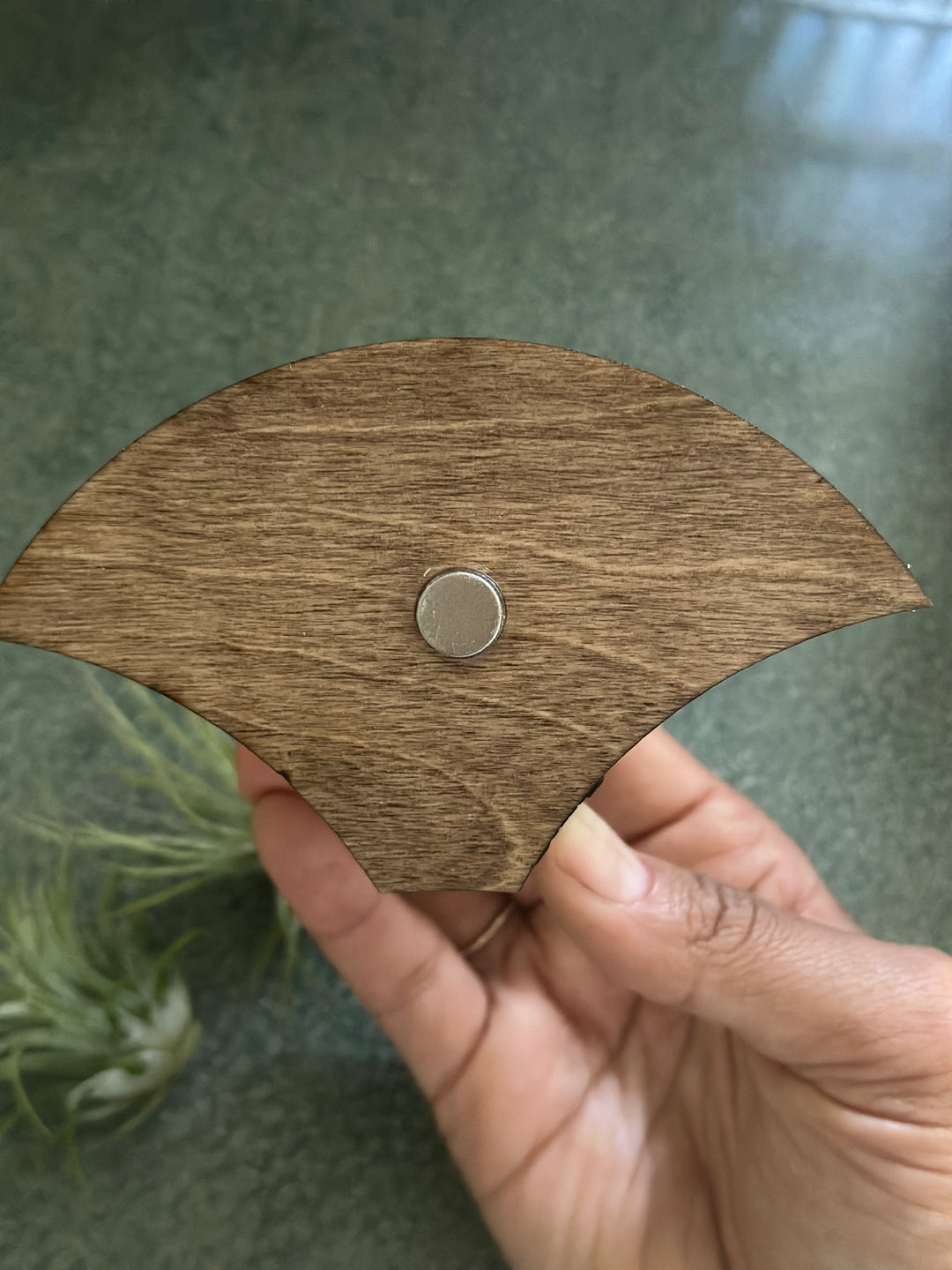 Magnetic Air Plant Holders