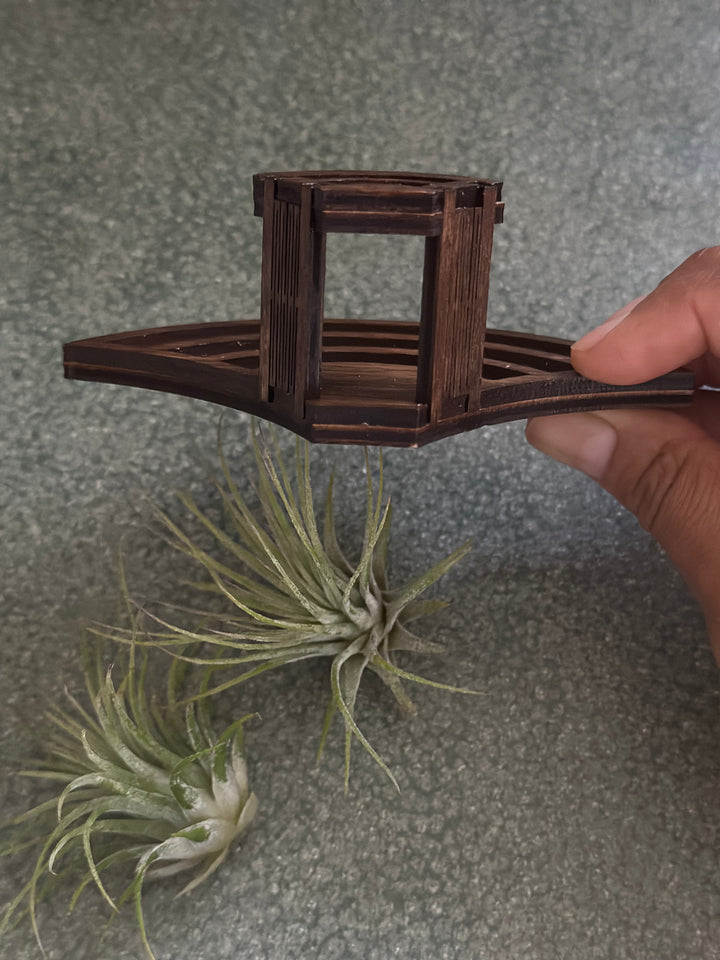 Magnetic Air Plant Holders