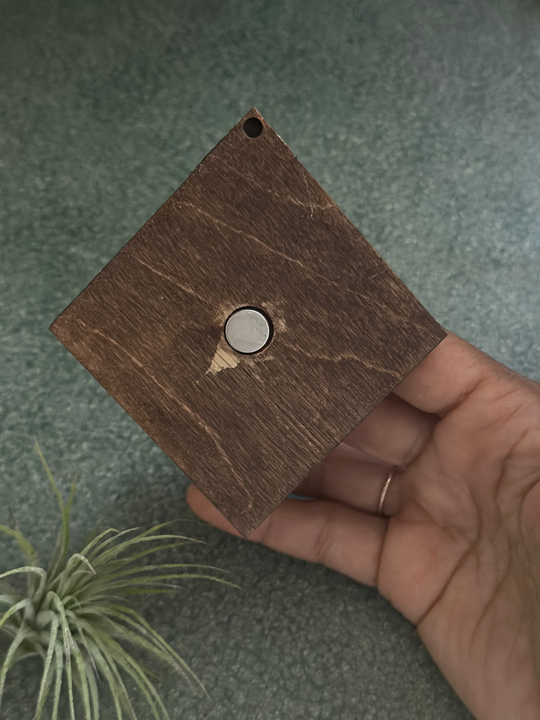 Magnetic Air Plant Holders