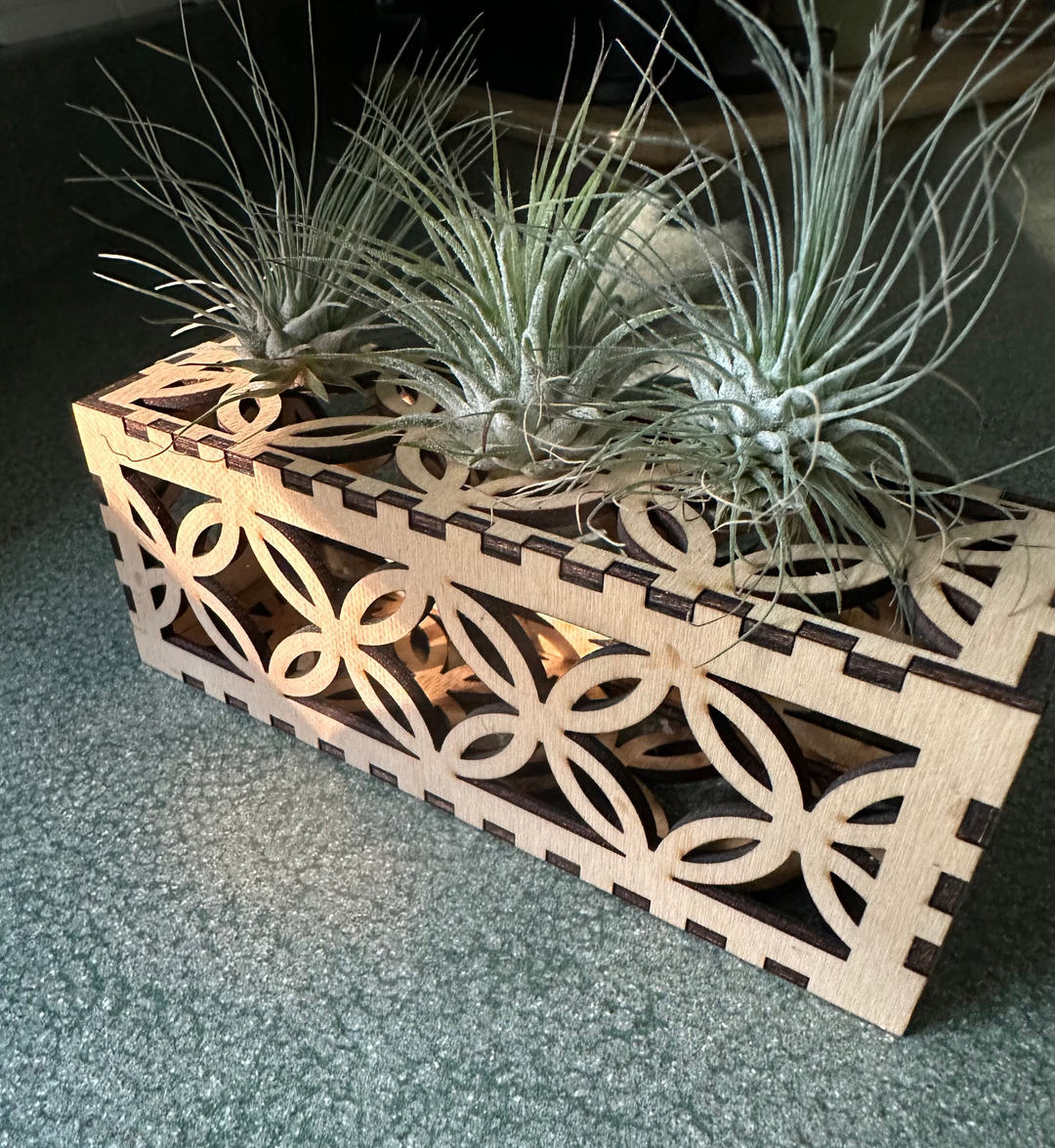 Decorative air plant stand