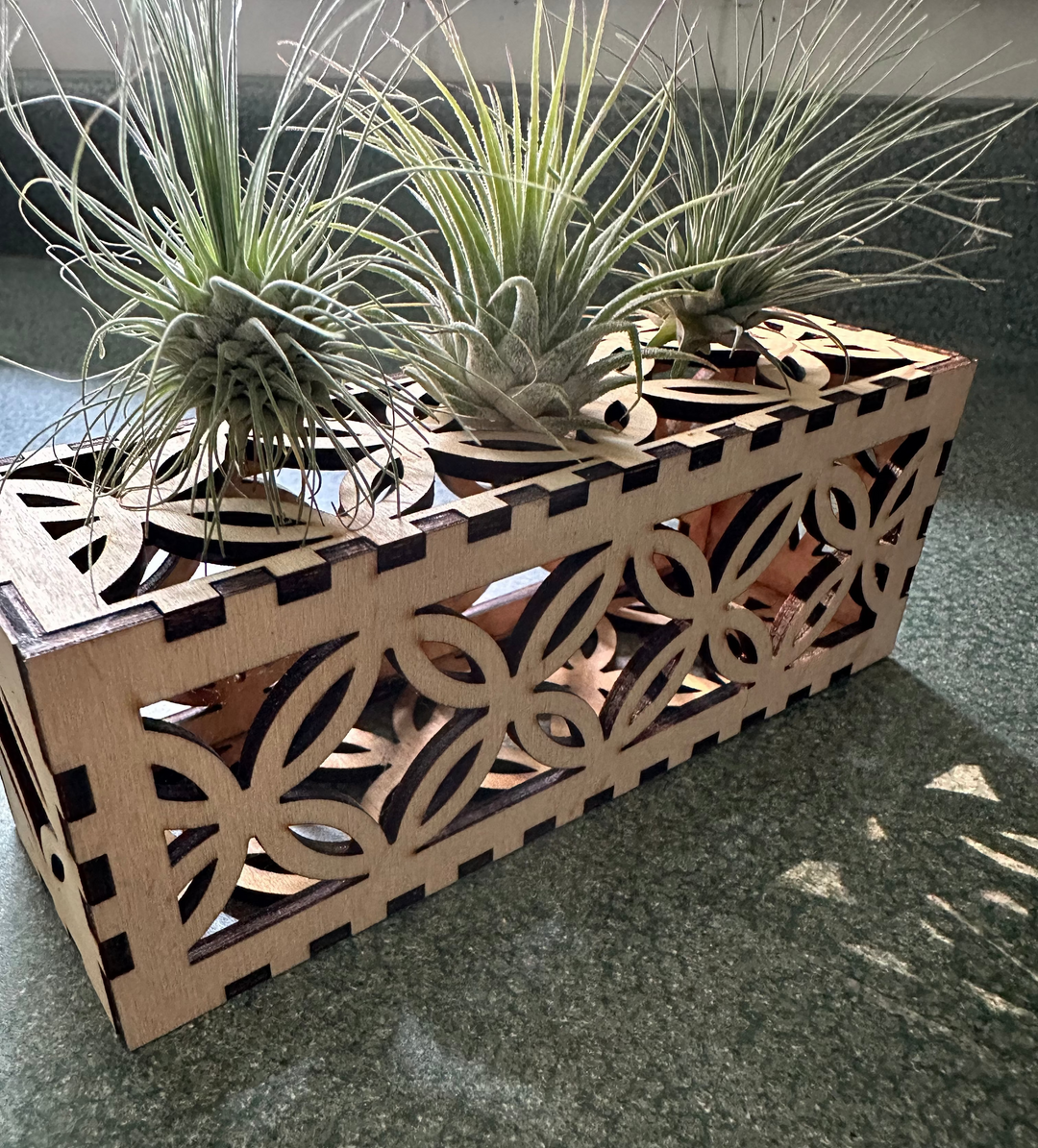 Decorative air plant stand