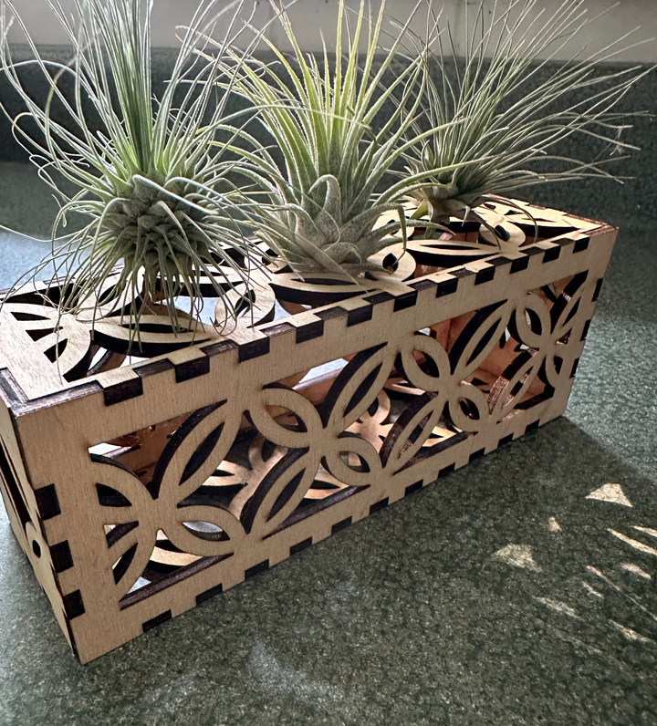 Decorative air plant stand
