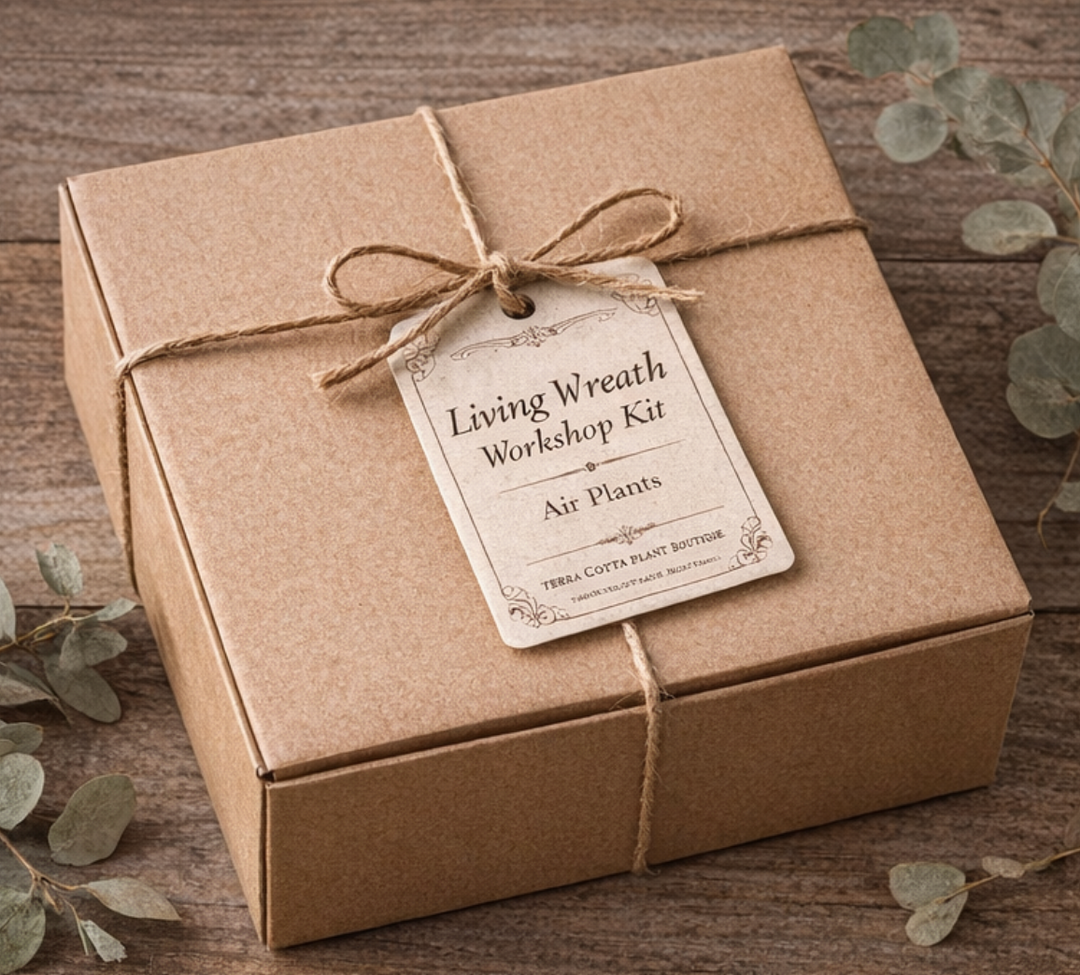 air plant gift box DIY Air Plant Wreath Kit – Terra Cotta Plant Boutique