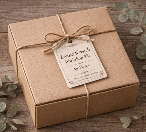 DIY Air Plant Wreath Kit