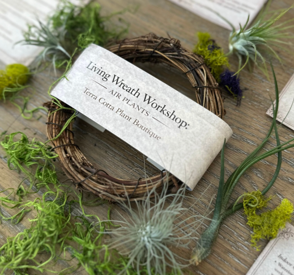 DIY Air Plant Wreath Kit