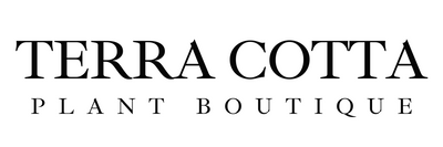 Terra Cotta Plant Boutique