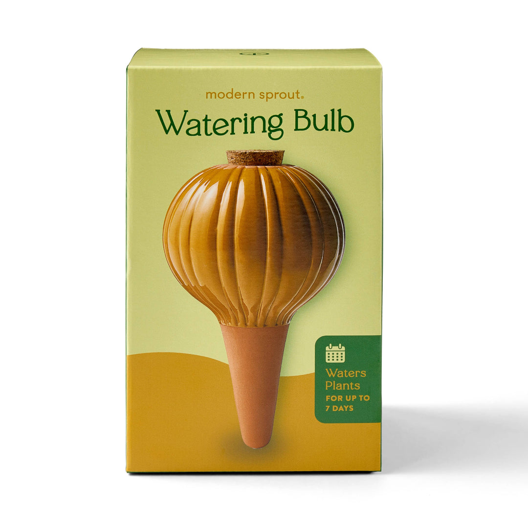 Modern Sprout Watering Bulbs