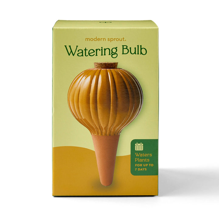 Modern Sprout Watering Bulbs
