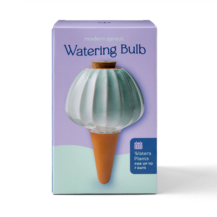 Modern Sprout Watering Bulbs