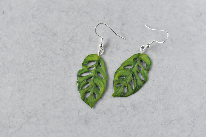 Monstera Adansonii “Swiss Cheese” Plant Earrings