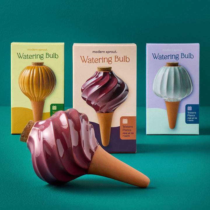 Modern Sprout Watering Bulbs