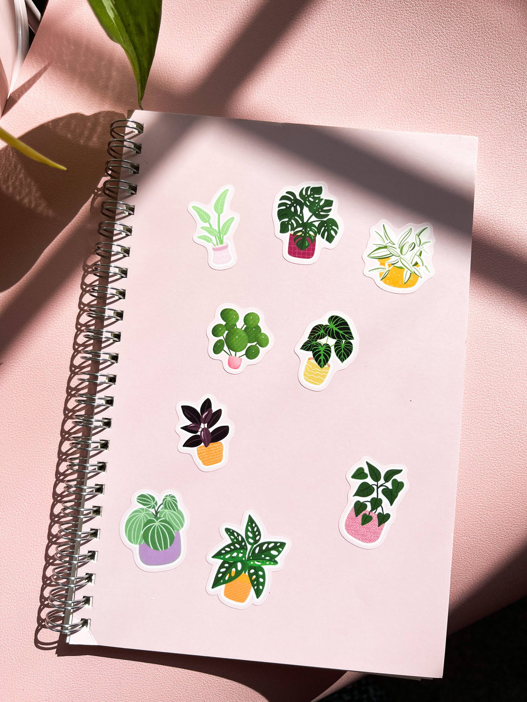 Houseplant Sticker Sheet
