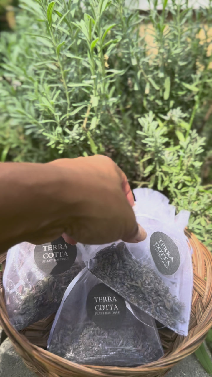 Lavender sachets
