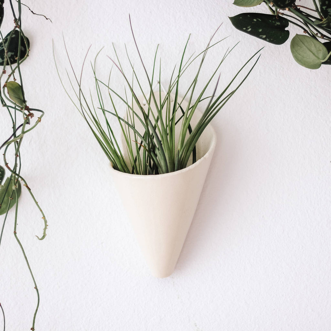 The Carter & Rose large ceramic wall cone is a unique way to bring plant life to your walls, from air plants, dried flower arrangements, or artificial plants. Try it with our XL Juncifolia air plant.  Each ceramic cone is handmade and will differ slightly from the photo. Large cone dimensions: (LxWxH) 7.5x4.5x3 inches.  *AIR PLANT NOT INCLUDED Explore the best and coolest gift ideas for plant enthusiasts!