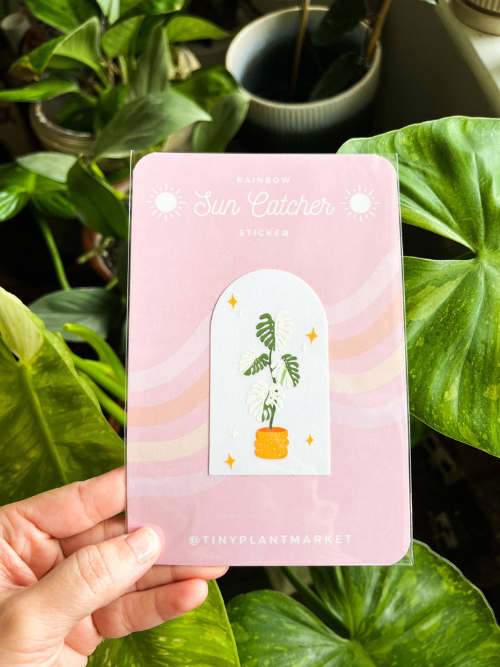 Monstera Albo Plant Sun Catcher Sticker