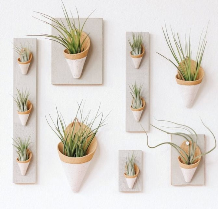The Carter & Rose large ceramic wall cone is a unique way to bring plant life to your walls, from air plants, dried flower arrangements, or artificial plants. Try it with our XL Juncifolia air plant. Each ceramic cone is handmade and will differ slightly from the photo. Large cone dimensions: (LxWxH) 7.5x4.5x3 inches. *AIR PLANT NOT INCLUDED Explore the best and coolest gift ideas for plant enthusiasts!